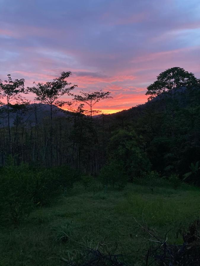 Khao Sok Hill Top Resort Khao Sok National Park Εξωτερικό φωτογραφία