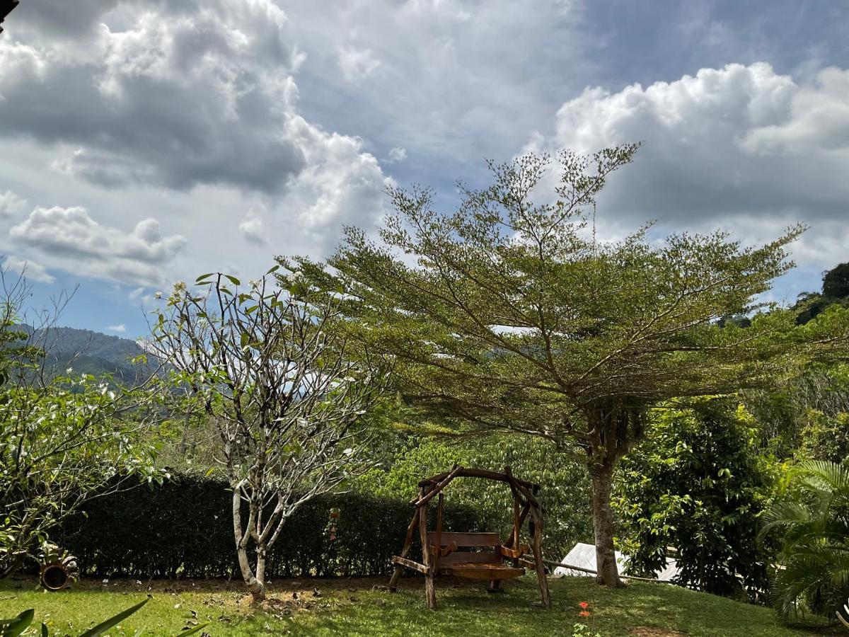 Khao Sok Hill Top Resort Khao Sok National Park Εξωτερικό φωτογραφία