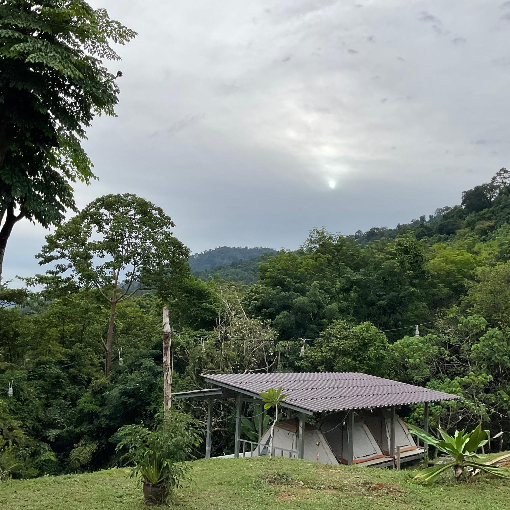 Khao Sok Hill Top Resort Khao Sok National Park Εξωτερικό φωτογραφία