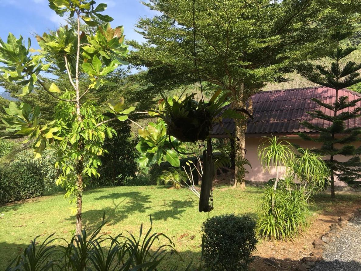 Khao Sok Hill Top Resort Khao Sok National Park Εξωτερικό φωτογραφία