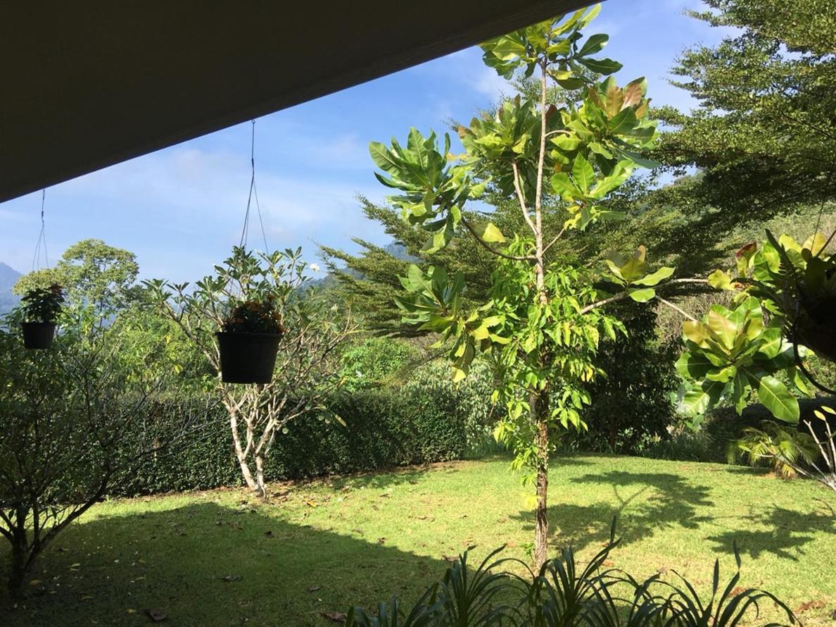 Khao Sok Hill Top Resort Khao Sok National Park Εξωτερικό φωτογραφία