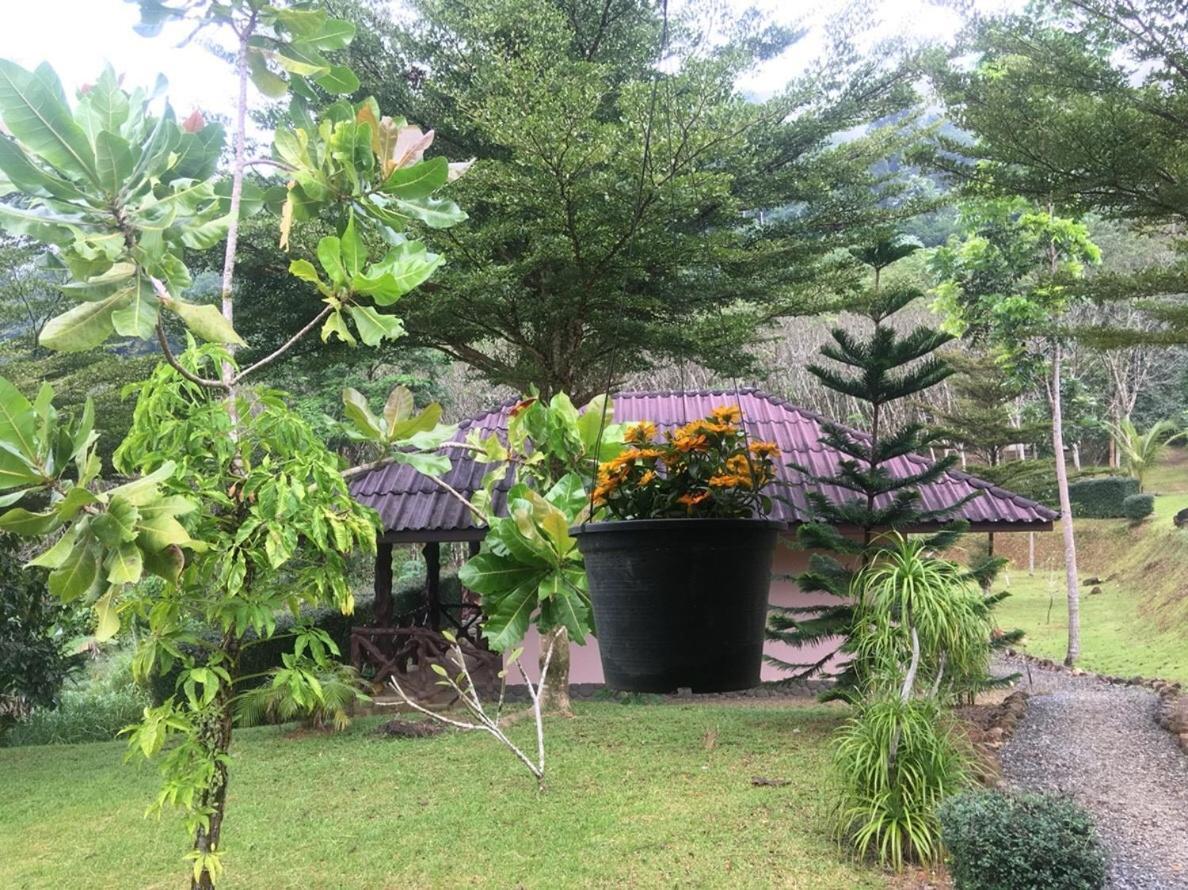 Khao Sok Hill Top Resort Khao Sok National Park Εξωτερικό φωτογραφία