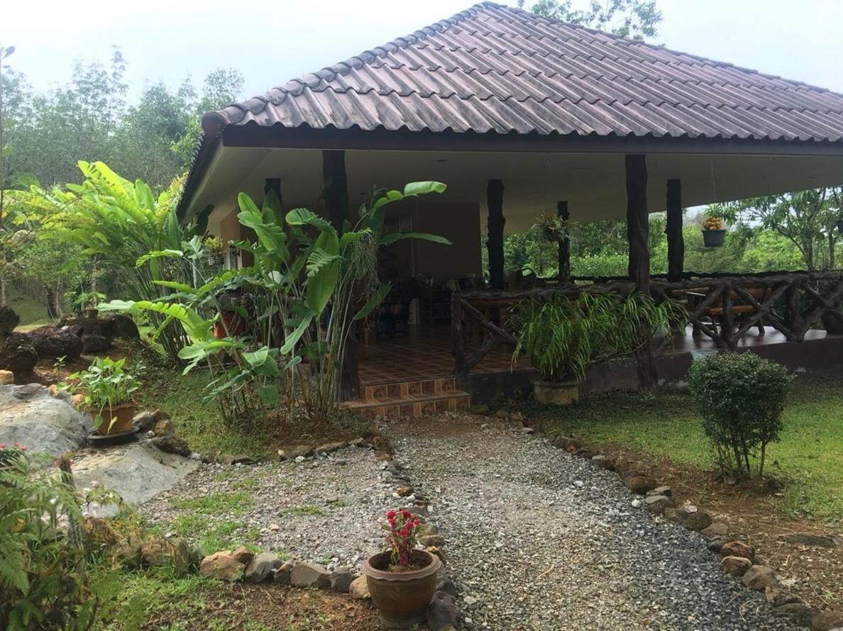 Khao Sok Hill Top Resort Khao Sok National Park Εξωτερικό φωτογραφία